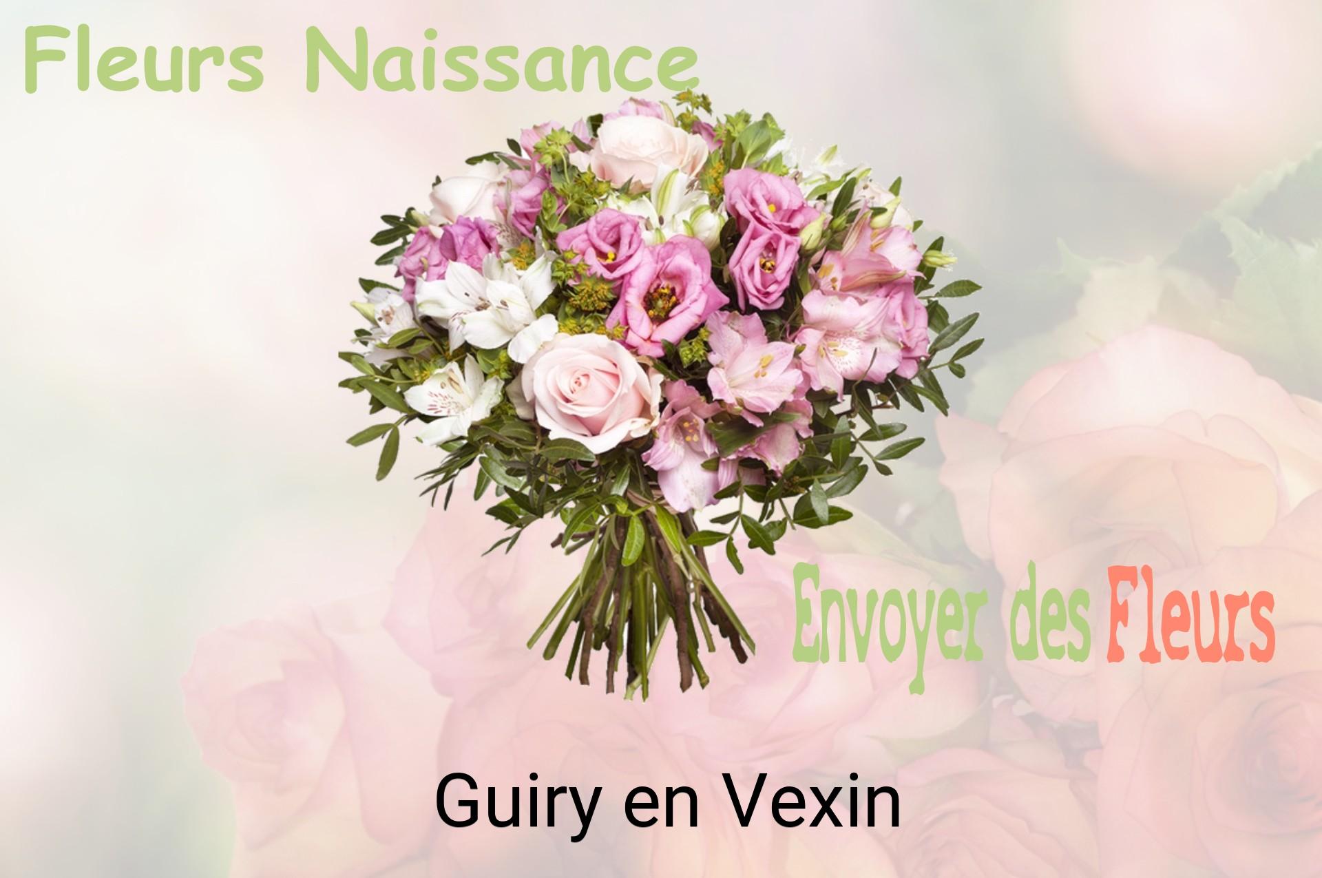 Bouquet de fleurs de naissance livré à Guiry-en-Vexin